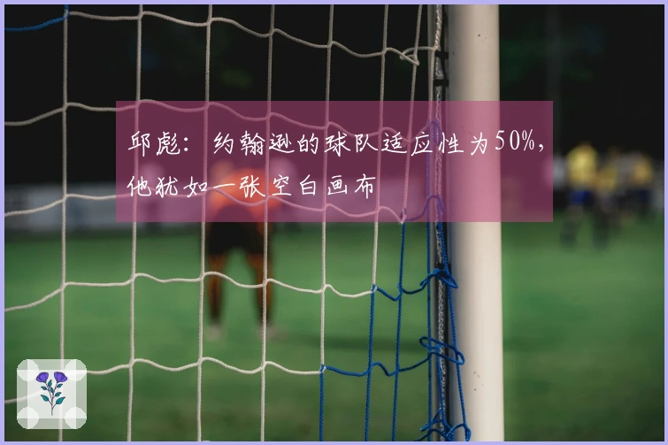 邱彪：约翰逊的球队适应性为50%，他犹如一张空白画布